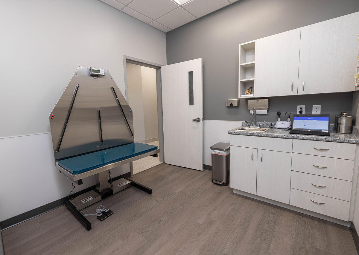 Prairie Lakes Pet Hospital Exam Room