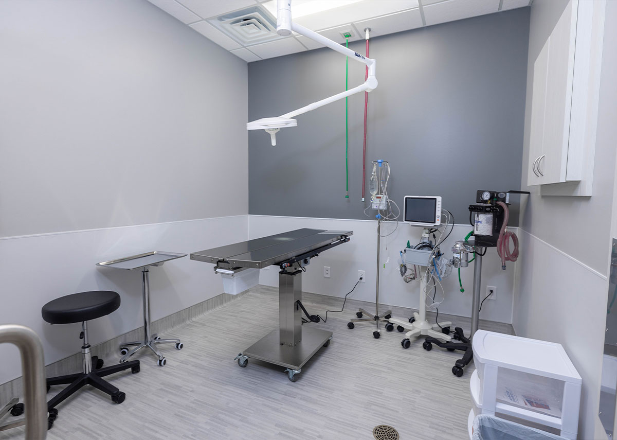 Prairie Lakes Pet Hospital Operating Room