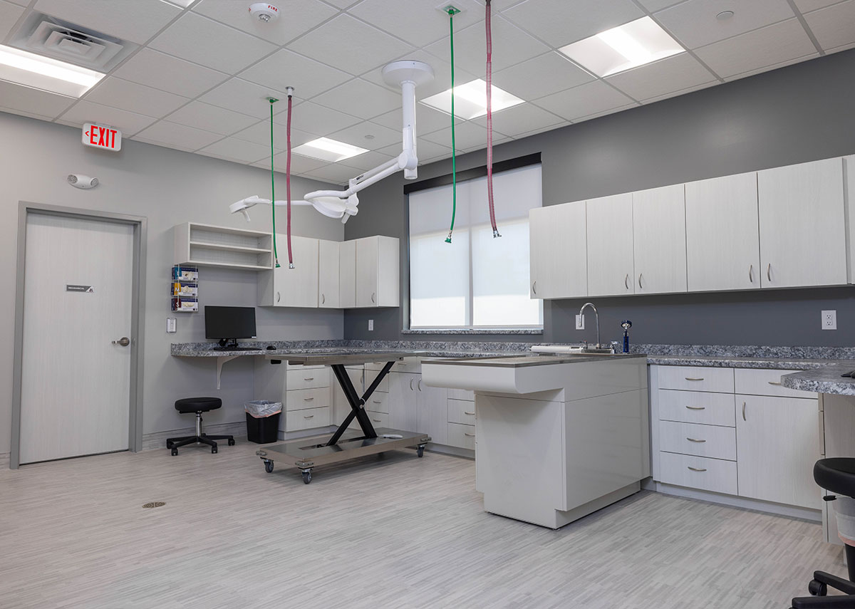 Prairie Lakes Pet Hospital Procedure Room